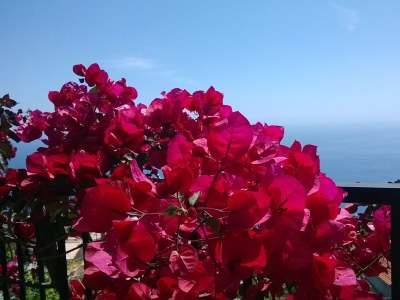 Holiday house Eira - Calhau Grande - Environment photo 15