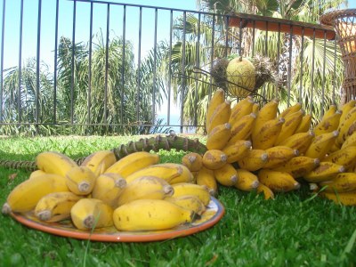 Holiday house Eira - Calhau Grande - Environment photo 20