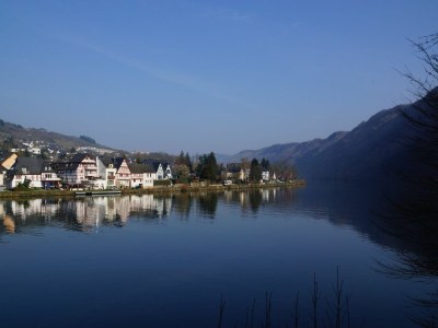 Holiday apartment Moseljuwel - Outdoor photo 7