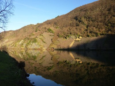 Holiday apartment Moseljuwel - Environment photo 36