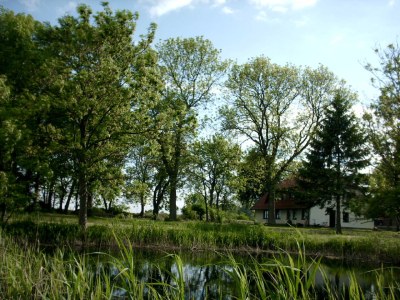 Holiday apartment Lück 3 - Environment photo 12