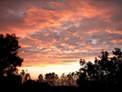 Holiday apartment Lück 3 - Environment photo 13