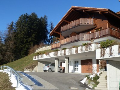 Holiday apartment Alpen-Träumli / Sommer - Outdoor photo 2