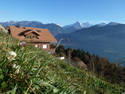 Holiday apartment Alpen-Träumli / Sommer - Outdoor photo 5