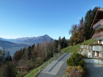 Holiday apartment Alpen-Träumli / Sommer - Outdoor photo 7