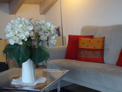 Holiday apartment Alpen-Träumli / Sommer - Features photo 10