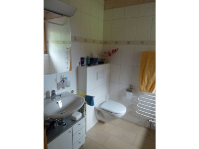 Holiday apartment Alpen-Träumli / Sommer - Features photo 19