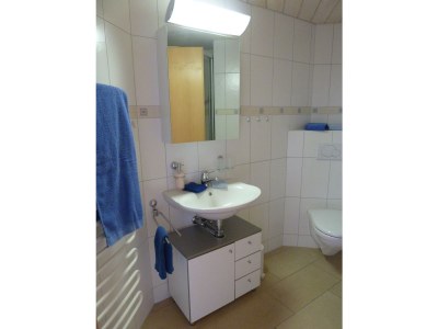 Holiday apartment Alpen-Träumli / Sommer - Features photo 21