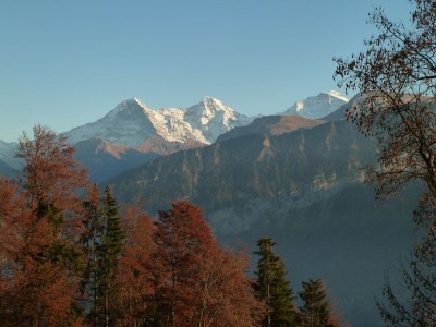 Holiday apartment Alpen-Träumli / Sommer - Environment photo 25