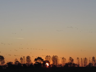 Holiday apartment Haus Dreischläfer deluxe - Environment photo 17