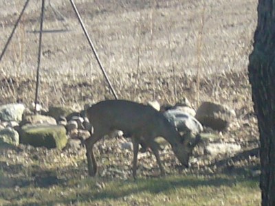 Holiday apartment Haus Dreischläfer deluxe - Environment photo 20