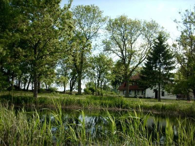 Holiday apartment Haus Dreischläfer deluxe - Environment photo 17