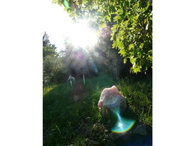 Holiday house Casa Juliana - Outdoor photo 12