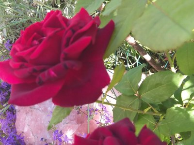 Holiday house Casa Juliana - Outdoor photo 24