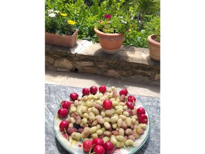 Holiday house Casa Juliana - Outdoor photo 25