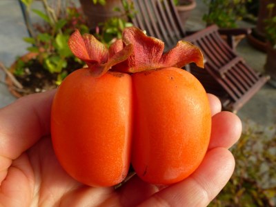 Holiday house Casa Juliana - Environment photo 38