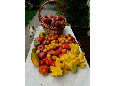 Holiday house Casa Juliana - Environment photo 40