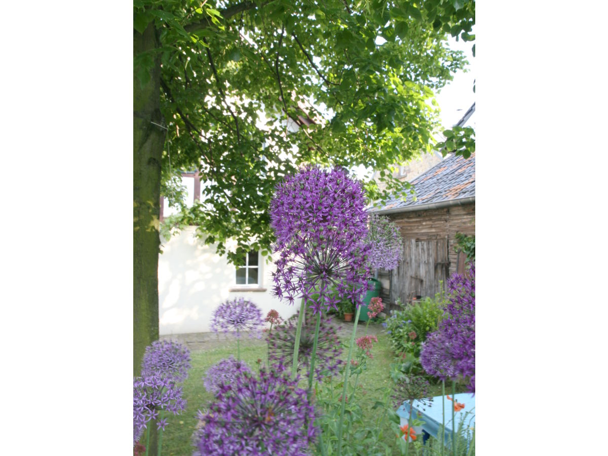 Holiday house Holiday home with ambience - Outdoor photo 2