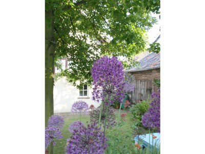 Holiday house Holiday home with ambience - Outdoor photo 2