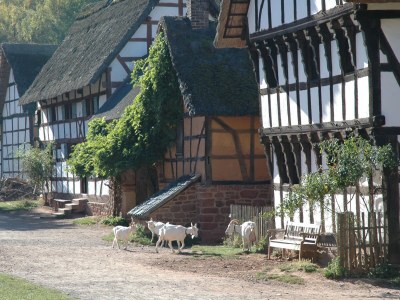 Holiday house Holiday home with ambience - Environment photo 16