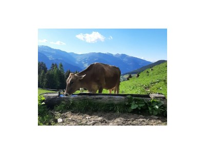 Holiday apartment Apart Magdalena - Environment photo 26