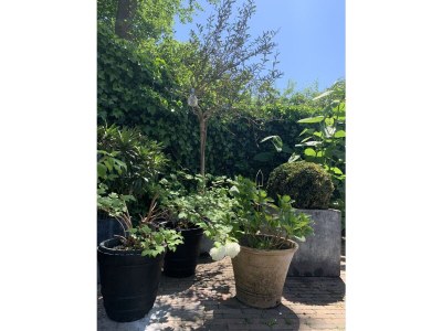 Holiday house Sun - Outdoor photo 7