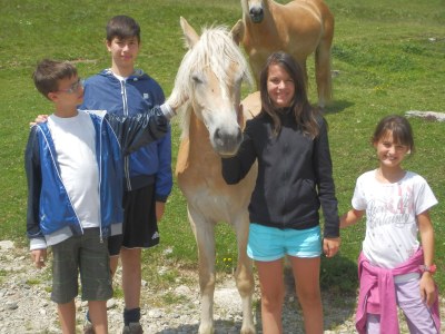 Holiday apartment Family Suite - Environment photo 32