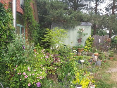 Holiday apartment Niels - Outdoor photo 7