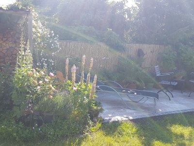 Holiday apartment Niels - Outdoor photo 8