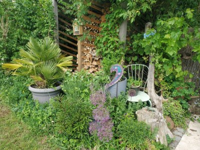 Holiday apartment Niels - Outdoor photo 9