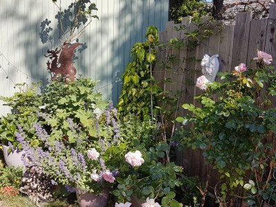 Holiday apartment Niels - Outdoor photo 13