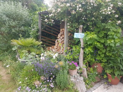 Holiday apartment Niels - Outdoor photo 15