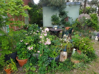 Holiday apartment Niels - Outdoor photo 16