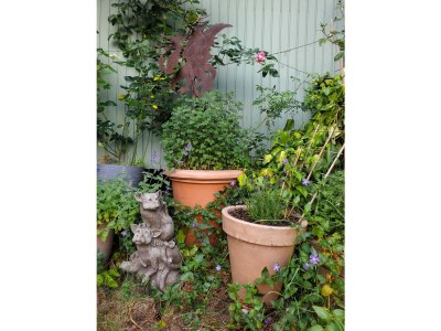 Holiday apartment Niels - Outdoor photo 17