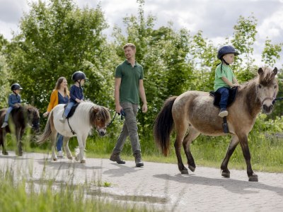 Holiday apartment "Heuboden" at Holiday Farm Ohr - Outdoor photo 10