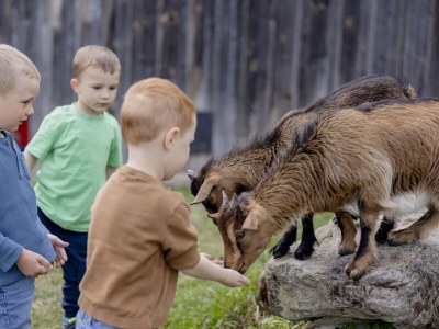 Holiday apartment "Heuboden" at Holiday Farm Ohr - Outdoor photo 12