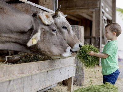 Holiday apartment "Heuboden" at Holiday Farm Ohr - Outdoor photo 13