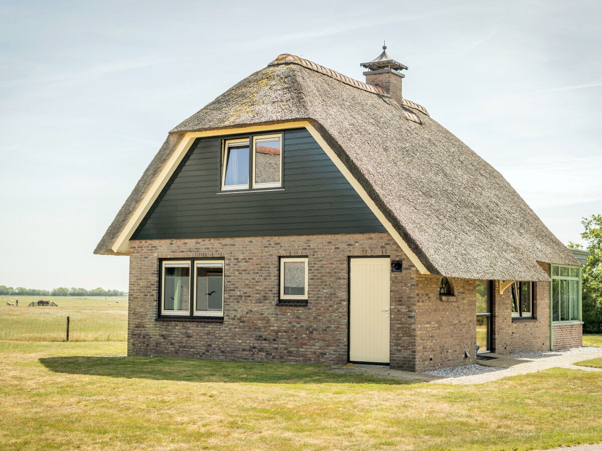 Villa The Buitenhof with conservatory - Outdoor photo 3