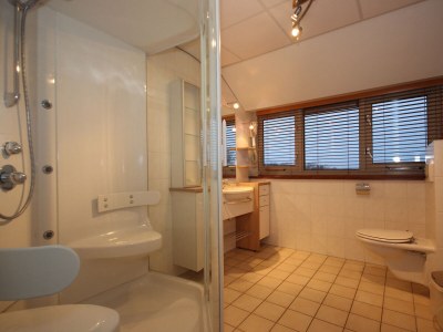 Villa The Buitenhof with conservatory - Features photo 15