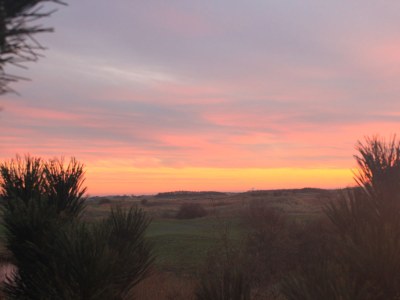 Villa The Buitenhof with conservatory - Environment photo 19