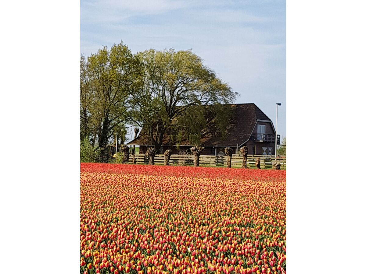 Apartment Country life - Outdoor photo 2
