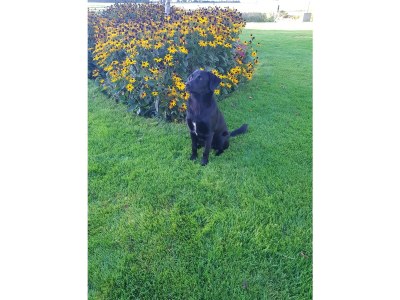 Apartment Country life - Outdoor photo 10