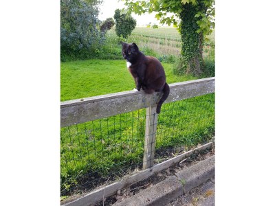 Apartment Country life - Outdoor photo 11