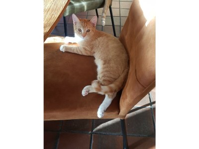 Apartment Country life - Outdoor photo 12