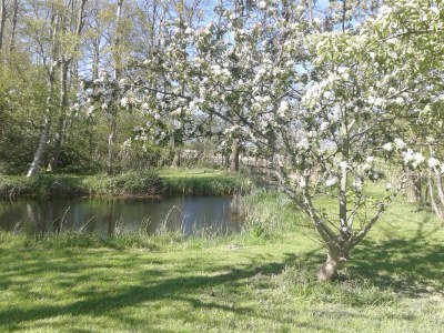 Apartment Country life - Environment photo 30