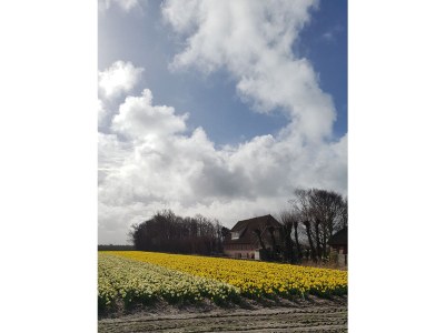 Apartment Country life - Environment photo 31