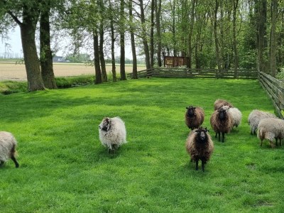 Apartment Country life - Environment photo 38