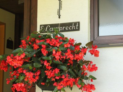 Apartment Haus Lamprecht - Outdoor photo 2