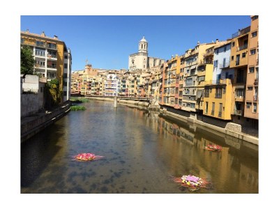 Holiday house Don Pedro - Environment photo 27