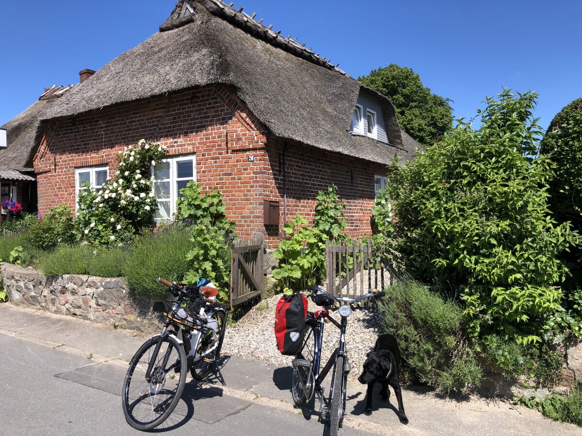 Holiday house Scheersbergkate